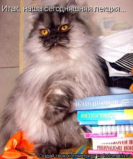 Котоматрица: Итак, наша сегодняшняя лекция...