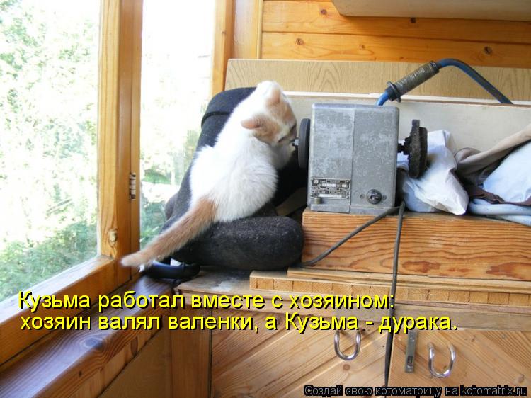 Кузьма работал вместе с хозяином: хозяин валял валенки, а Кузьма - дурака.... Котоматрица: Кузьма работал вместе с хозяином: хозяин валял валенки, а Кузьма - дурака.