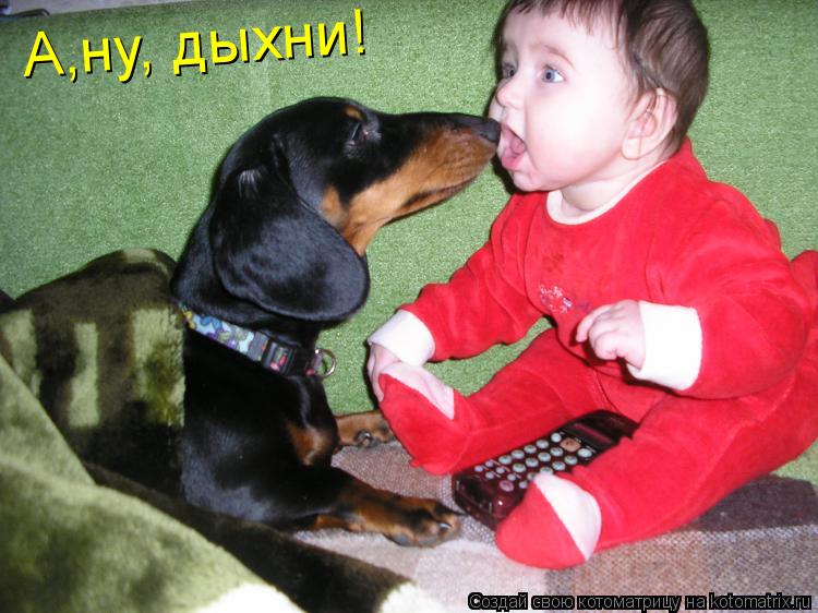 Котоматрица: А,ну, дыхни!
