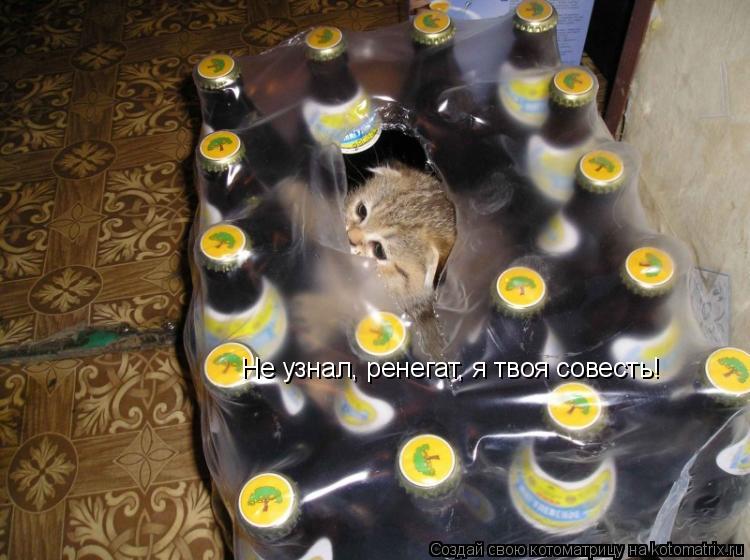 Котоматрица: Не узнал, ренегат, я твоя совесть!