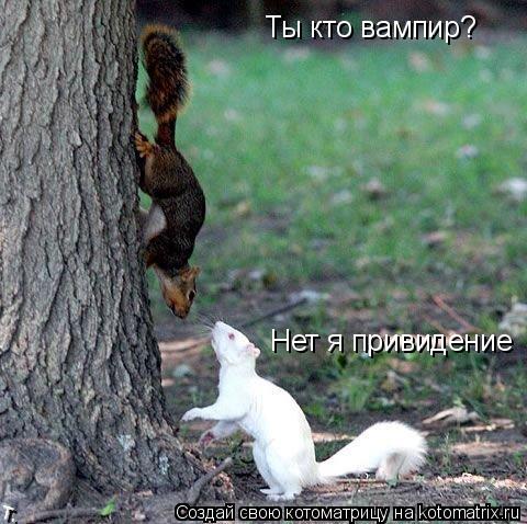 Котоматрица: Ты кто вампир? Нет я привидение