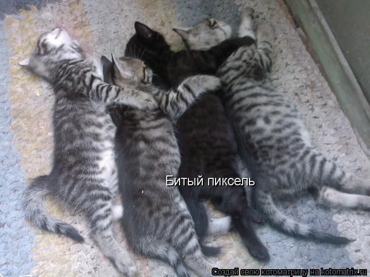 Котоматрица: Битый пиксель