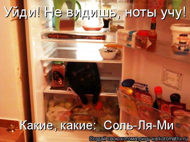 Котоматрица: Уйди! Не видишь, ноты учу!  Какие, какие:  Соль-Ля-Ми