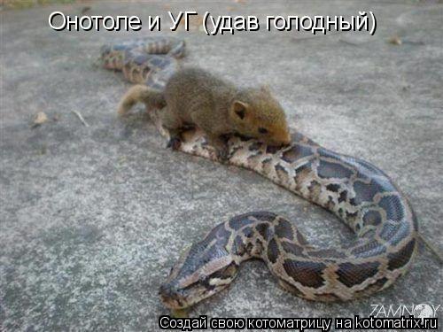 Котоматрица: Онотоле и УГ (удав голодный)