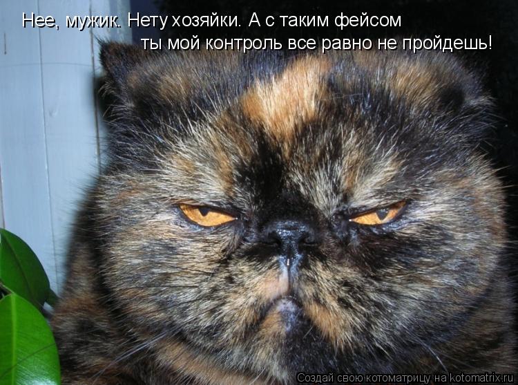 Котоматрица: Нее, мужик. Нету хозяйки. А с таким фейсом  ты мой контроль все равно не пройдешь!