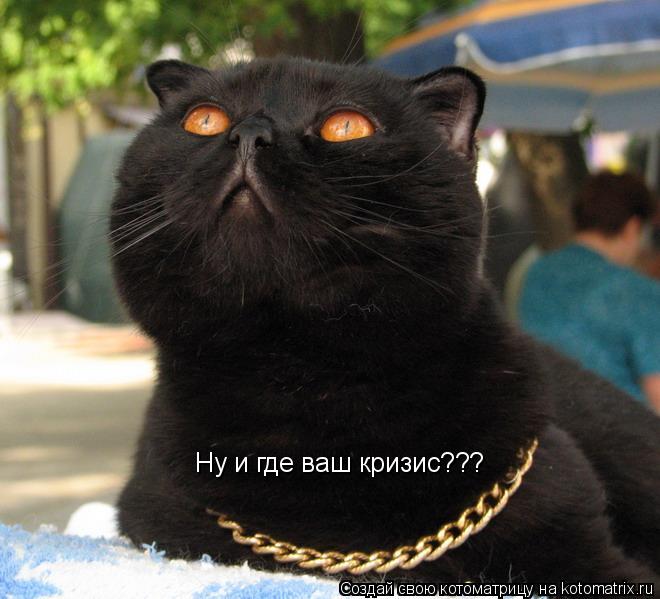 Котоматрица: Ну и где ваш кризис???