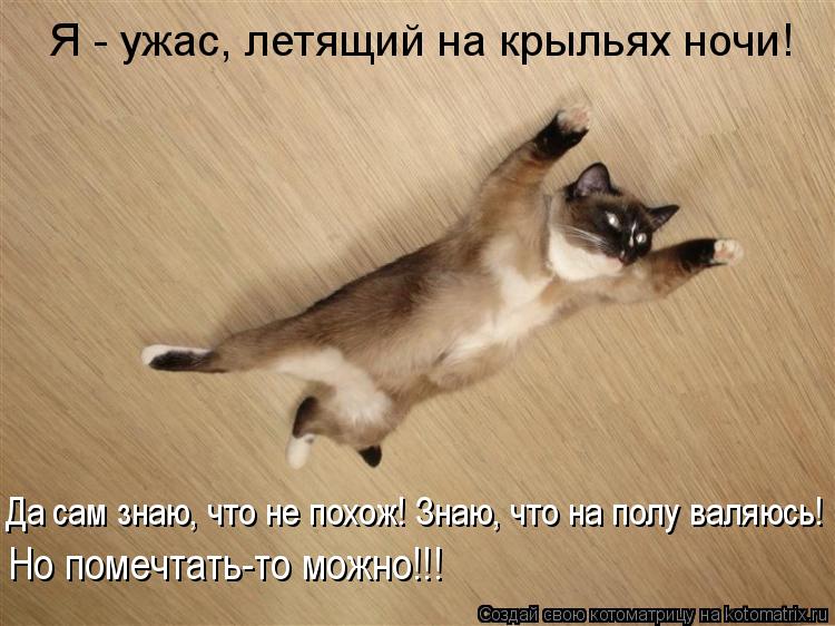 Котоматрица: Я - ужас, летящий на крыльях ночи! Да сам знаю, что не похож! Знаю, что на полу валяюсь! Но помечтать-то можно!!!