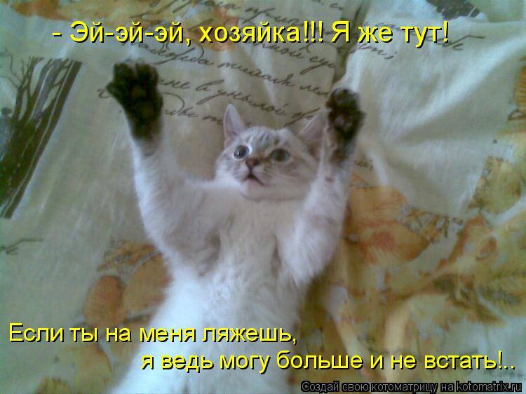 Котоматрица: - Эй-эй-эй, хозяйка!!! Я же тут! Если ты на меня ляжешь,  я ведь могу больше и не встать!..