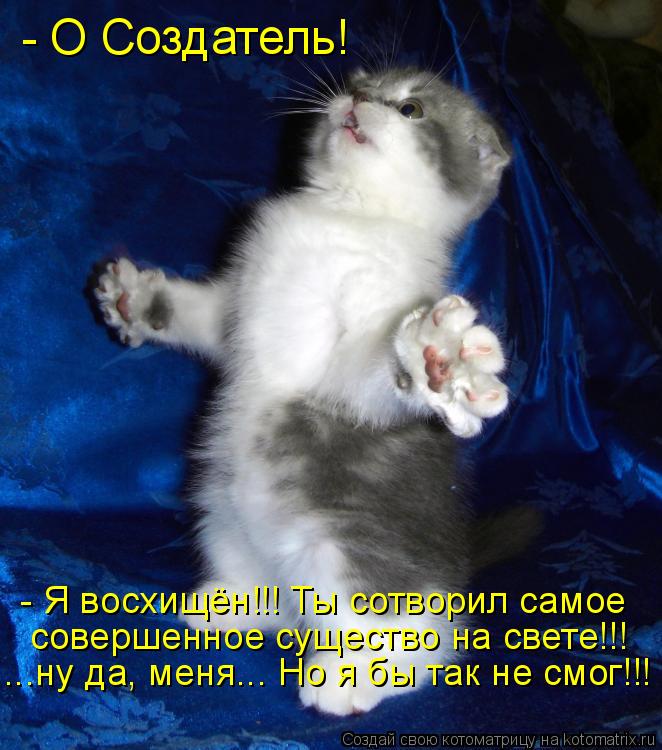 - О Создатель! - Я восхищён!!! Ты сотворил самое совершенное существо на свете!!! ...ну да, меня... ... Котоматрица: - О Создатель! - Я восхищён!!! Ты сотворил самое совершенное существо на свете!!! ...ну да, меня... Но я бы так не смог!!!