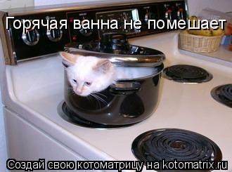 Котоматрица: Горячая ванна не помешает