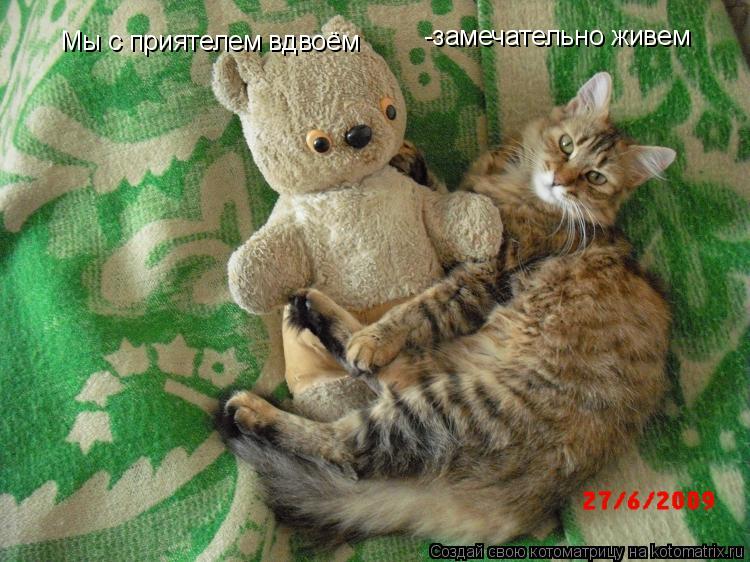 Котоматрица: Мы с приятелем вдвоём -замечательно живем