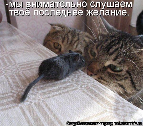 -мы внимательно слушаем твоё последнее желание.... Котоматрица: -мы внимательно слушаем твоё последнее желание.