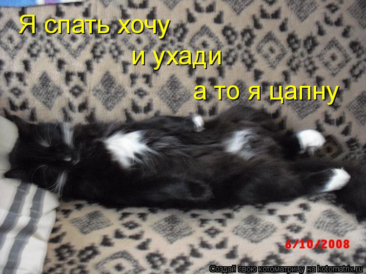 Котоматрица: Я спать хочу и ухади а то я цапну