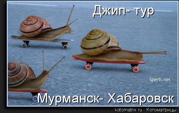 Котоматрица: Джип- тур Мурманск- Хабаровск