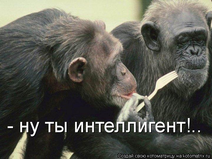 - ну ты интеллигент!..... Котоматрица: - ну ты интеллигент!..