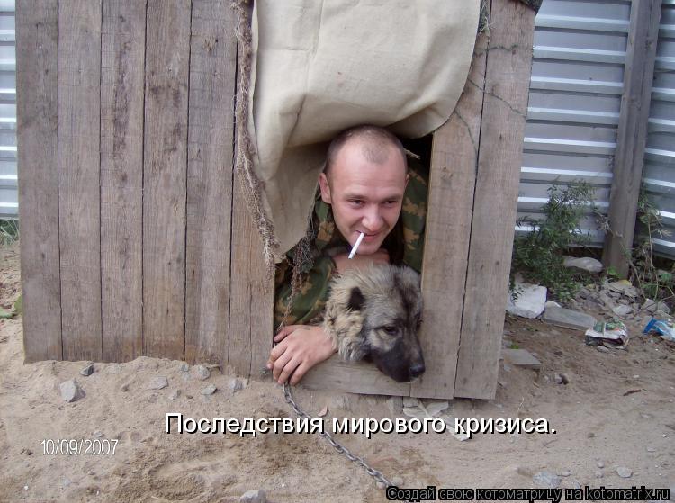 Котоматрица: Последствия мирового кризиса.