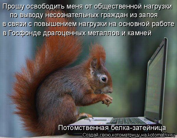 Прошу освободить меня от общественной нагрузки по выводу несознательных граждан из запоя в связи с п... Котоматрица: Прошу освободить меня от общественной нагрузки по выводу несознательных граждан из запоя в связи с повышением нагрузки на основной работ