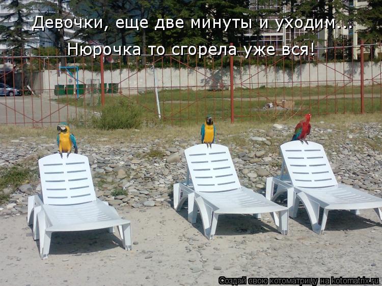 Девочки, еще две минуты и уходим... Нюрочка то сгорела уже вся!... Котоматрица: Девочки, еще две минуты и уходим... Нюрочка то сгорела уже вся!