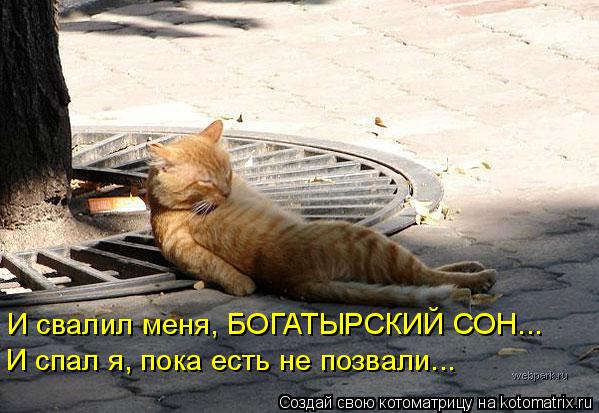 И свалил меня, БОГАТЫРСКИЙ СОН... И спал я, пока есть не позвали...... Котоматрица: И свалил меня, БОГАТЫРСКИЙ СОН... И спал я, пока есть не позвали...