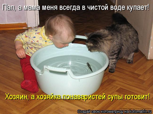 Пап, а мама меня всегда в чистой воде купает! Хозяин, а хозяйка понаваристей супы готовит!... Котоматрица: Пап, а мама меня всегда в чистой воде купает! Хозяин, а хозяйка понаваристей супы готовит!