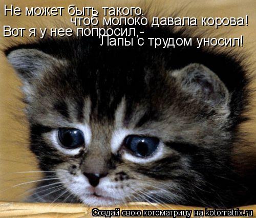 Не может быть такого, чтоб молоко давала корова! Вот я у нее попросил,- Лапы с трудом уносил!... Котоматрица: Не может быть такого, чтоб молоко давала корова! Вот я у нее попросил,- Лапы с трудом уносил!
