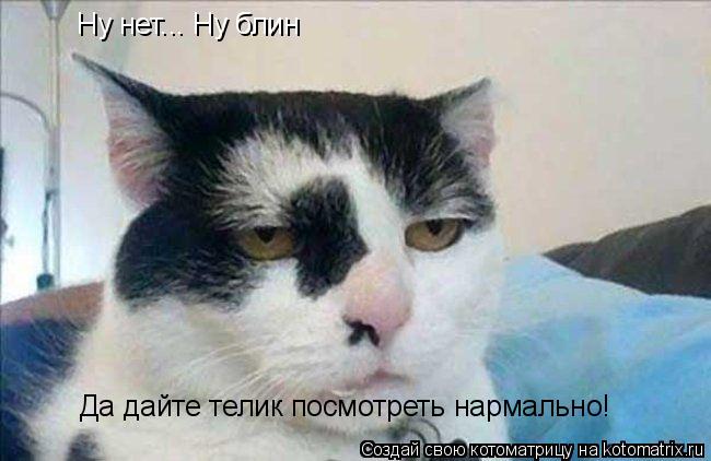 Ну нет... Ну блин Да дайте телик посмотреть нармально!... Котоматрица: Ну нет... Ну блин Да дайте телик посмотреть нармально!