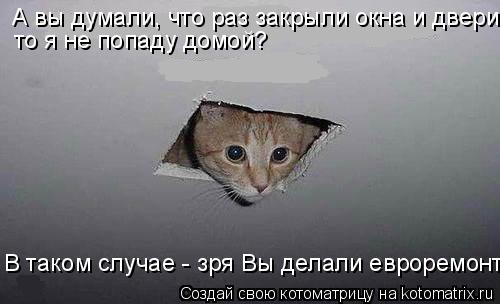 А вы думали, что раз закрыли окна и двери то я не попаду домой? В таком случае - зря Вы делали евроре... Котоматрица: А вы думали, что раз закрыли окна и двери то я не попаду домой? В таком случае - зря Вы делали евроремонт!