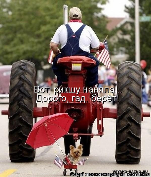 Котоматрица: Вот, рикшу наняла... Дорого, гад, берёт!