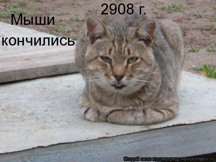 Котоматрица: Мыши  кончились 2908 г.