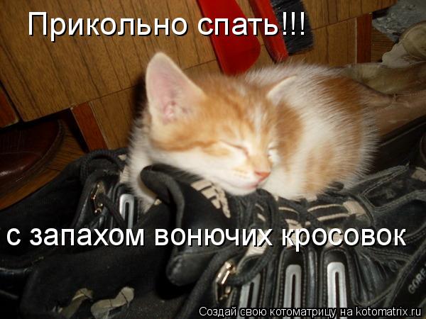 Котоматрица: Прикольно спать!!! с запахом вонючих кросовок