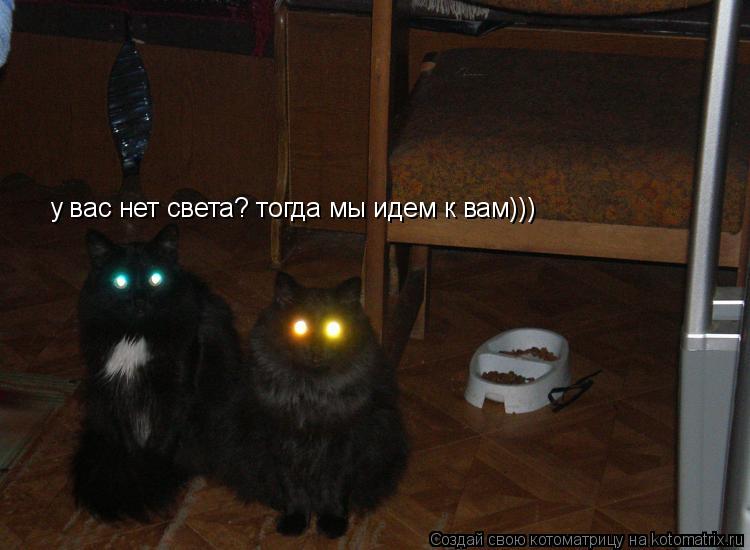 Котоматрица: у вас нет света? тогда мы идем к вам)))