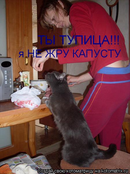 Котоматрица: ТЫ ТУПИЦА!!! я НЕ ЖРУ КАПУСТУ