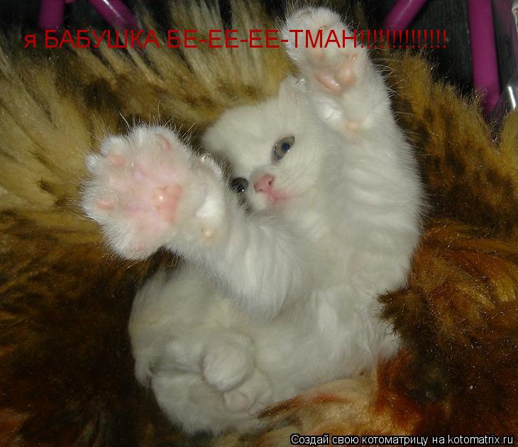 Котоматрица: я БАБУШКА БЕ-ЕЕ-ЕЕ-ТМАН!!!!!!!!!!!!!!