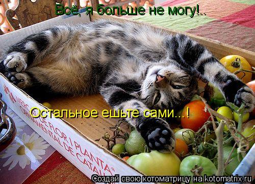 Котоматрица: Всё, я больше не могу!.. Остальное ешьте сами...!