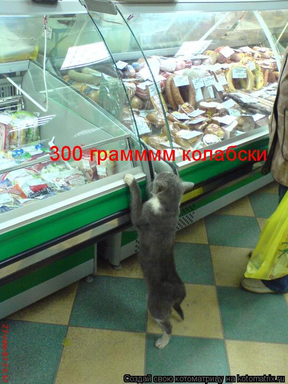 Котоматрица: 300 грамммм колабски