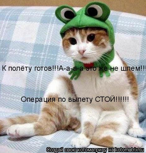 Котоматрица: К полёту готов!!!А-а-а-а это же не шлем!!! Операция по вылету СТОЙ!!!!!!