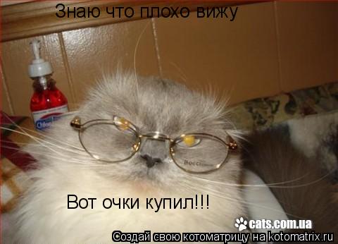 Котоматрица: Знаю что плохо вижу Вот очки купил!!!