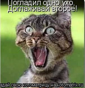 Котоматрица: Погладил одно ухо, Доглаживай второе!