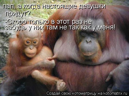 Котоматрица: пап, а когда настоящие девушки придут? -Скоро только в этот раз не забудь у них там не так как у меня!