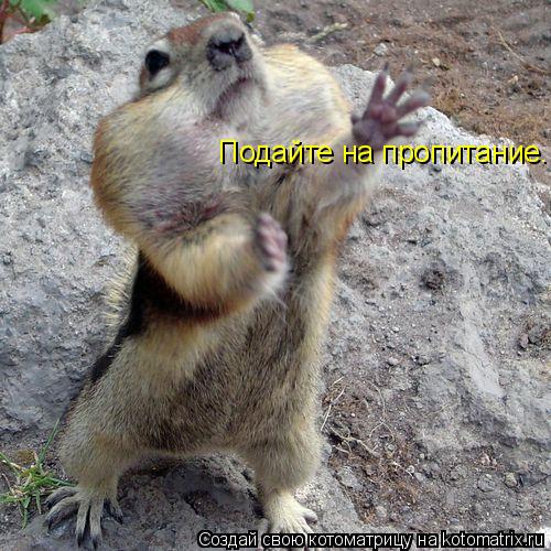 Подайте на пропитание.... Котоматрица: Подайте на пропитание.