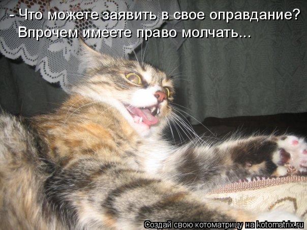 - Что можете заявить в свое оправдание? Впрочем имеете право молчать...... Котоматрица: - Что можете заявить в свое оправдание? Впрочем имеете право молчать...