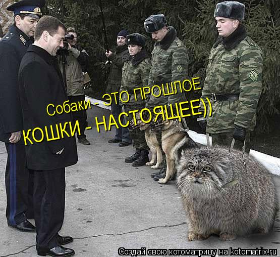 Котоматрица: Собаки - ЭТО ПРОШЛОЕ КОШКИ - НАСТОЯЩЕЕ))