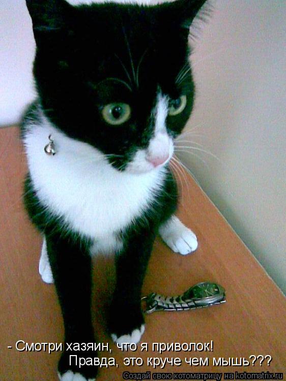 Котоматрица: - Смотри хазяин, что я приволок! Правда, это круче чем мышь???