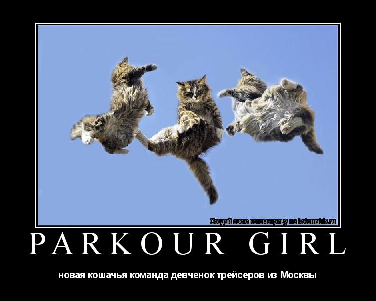 parkour girl новая кошачья команда девченок трейсеров из Москвы... Котоматрица: parkour girl новая кошачья команда девченок трейсеров из Москвы