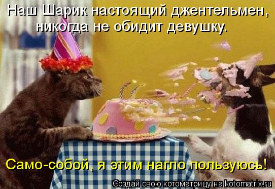 Наш Шарик настоящий джентельмен, никогда не обидит девушку. Само-собой, я этим нагло пользуюсь!... Котоматрица: Наш Шарик настоящий джентельмен, никогда не обидит девушку. Само-собой, я этим нагло пользуюсь!