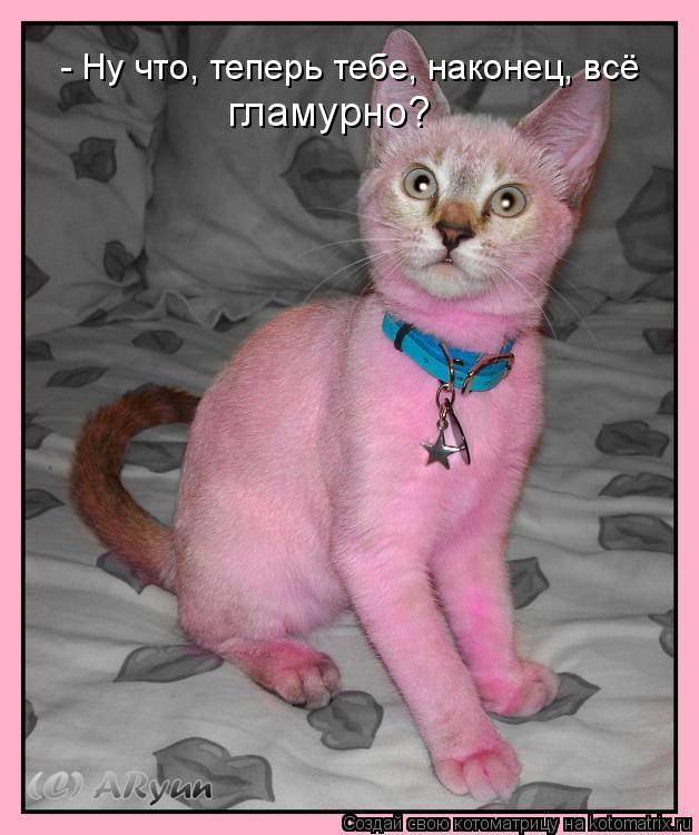 - Ну что, теперь тебе, наконец, всё гламурно?... Котоматрица: - Ну что, теперь тебе, наконец, всё гламурно?