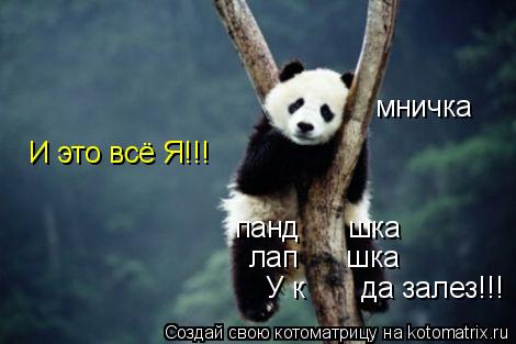 мничка панд шка лап шка У к да залез!!! И это всё Я!!!... Котоматрица: мничка панд шка лап шка У к да залез!!! И это всё Я!!!