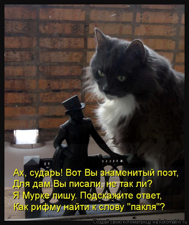 Ах, сударь! Вот Вы знаменитый поэт, Для дам Вы писали, не так ли? Я Мурке пишу. Подскажите ответ, Как... Котоматрица: Ах, сударь! Вот Вы знаменитый поэт, Для дам Вы писали, не так ли? Я Мурке пишу. Подскажите ответ, Как рифму найти к слову "пакля"?