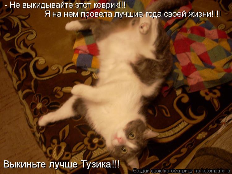 Котоматрица: - Не выкидывайте этот коврик!!! Я на нем провела лучшие года своей жизни!!!! Выкиньте лучше Тузика!!!