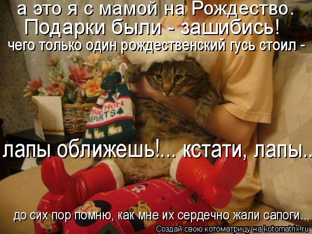 Котоматрица: а это я с мамой на Рождество.  Подарки были - зашибись! чего только один рождественский гусь стоил - лапы оближешь!... кстати, лапы... до сих пор 